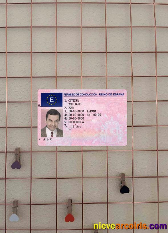 Spain driving license